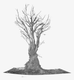 Scary Tree Png - Tree Roots Png, Transparent Png, Transparent PNG