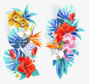 Tropical, Medellin, Flowers, Fair Of Flowers, Field - Tropical Flowers, HD Png Download, Transparent PNG
