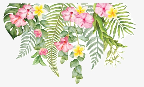 Transparent Tropical Flowers Png - Transparent Background Tropical Flowers Png, Png Download, Transparent PNG