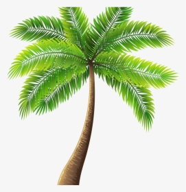 Palm Tree Painting Elegant Palm Tree Art Tropical Palm - Palm Tree Transparent Background, HD Png Download, Transparent PNG