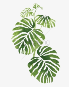 Free Png Transparent Tropical Png Image With Transparent - Leaves Png, Png Download, Transparent PNG