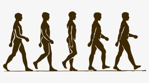 Man Walking Step By Step, HD Png Download, Transparent PNG