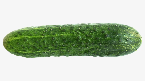 Cucumber Png Image - Cucumber Png, Transparent Png, Transparent PNG