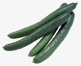 Grab And Download Cucumber In Png - Cucumber Pickle Transparent, Png Download, Transparent PNG