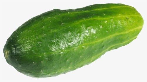 Large Green Cucumber, HD Png Download, Transparent PNG