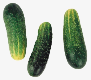 Cucumber Png Image, Transparent Png, Transparent PNG