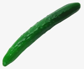 Clip Art Cucumber Images - Cucumber Long Png, Transparent Png, Transparent PNG