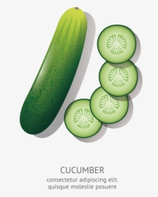 Transparent Cucumber Png - Cucumber Cartoon Drawing, Png Download, Transparent PNG