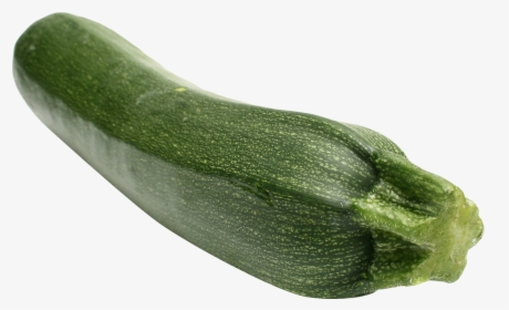Transparent Cucumber Clipart - Zucchini Png, Png Download, Transparent PNG