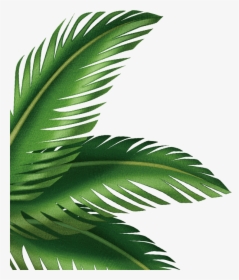 Leaf Arecaceae Clip Art Transprent Png Free - Clipart Palm Leaves Png, Transparent Png, Transparent PNG