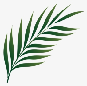Palm Sunday Png - Holy Week Icon Png, Transparent Png, Transparent PNG
