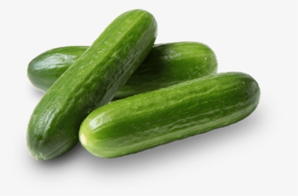 Three Bulk Pure Flavor Poco Bites Cucumbers - Cucumber, HD Png Download, Transparent PNG