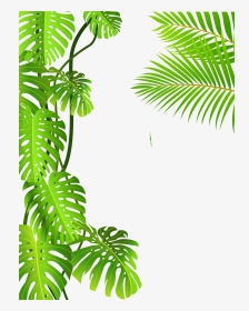 Image Freeuse Royalty Free Clip Art Forest Royaltyfree - Jungle Tropical Leaves Transparent, HD Png Download, Transparent PNG