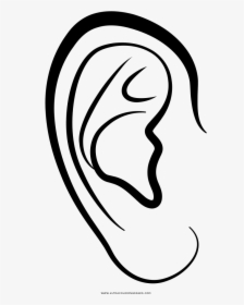 Ear Drawing Auricle Coloring Book - Ear For Coloring Png, Transparent Png, Transparent PNG