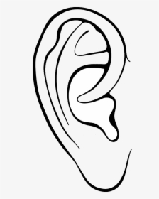 Ear Ears Clipart Outline Frames Illustrations Hd Images - Colouring Pages Of Ear, HD Png Download, Transparent PNG