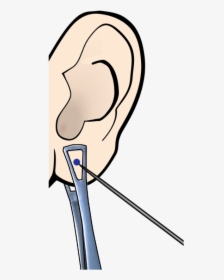 Ear Piercing Clipart Image Transparent Free Png - Ear Transparent Piercing Png, Png Download, Transparent PNG