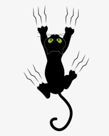 Cat Kitten Dog Paw - Gato Escorregando, HD Png Download, Transparent PNG
