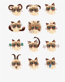 Transparent Grumpy Cat Png - Cats As Zodiac Signs, Png Download, Transparent PNG