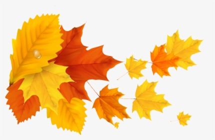 Yellow Orange Fall Leafs Png Clipart Picture - Yellow Maple Leaf Png, Transparent Png, Transparent PNG