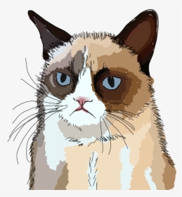 #freetoedit #grumpy #cat #grumpycat #drawing - Grumpy Cat Nope, HD Png Download, Transparent PNG