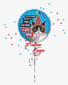 Hb Grumpy Cat - Get Well Soon Balloon Transparent, HD Png Download, Transparent PNG
