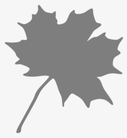 Maple, Leaf, Grey - Orange Maple Leaf Clipart, HD Png Download, Transparent PNG