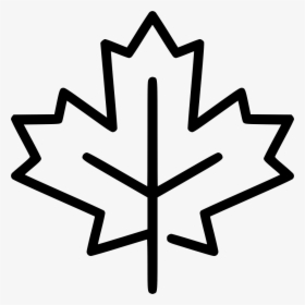 Maple Leaf - Maple Leaf Icon Vector, HD Png Download, Transparent PNG