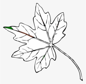 Maple Leaf Svg Clip Arts - Fall Leaves Clip Art, HD Png Download, Transparent PNG