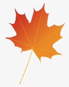 Maple Leaf Photography Illustration Autumn - Maple Leaf, HD Png Download, Transparent PNG