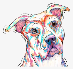 Pitbull - Companion Dog, HD Png Download, Transparent PNG