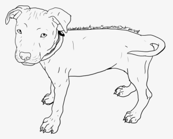 Drawn Pitbull American Pitbull - Pitbull Sketch, HD Png Download, Transparent PNG