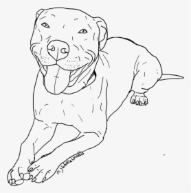 Red Nose Pitbull Drawings - Cute Dog Drawings Pitbull, HD Png Download, Transparent PNG