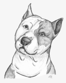 Pitbull Drawing Eye - Draw A Staffordshire Bull Terrier, HD Png Download, Transparent PNG