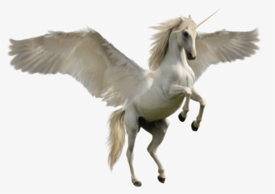 Unicorn Jump - Unicorn Horse, HD Png Download, Transparent PNG