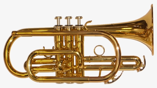 Brass Band Instrument Png Picture - Brass Instruments Png, Transparent Png, Transparent PNG