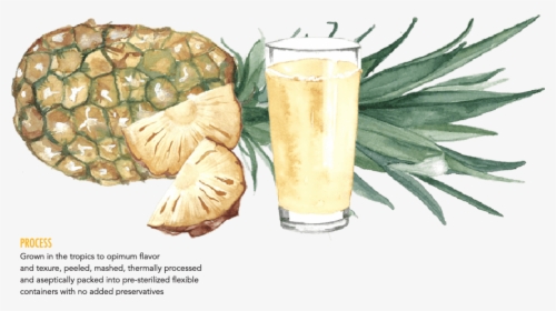 Pineapple Juice Glass Png - Pisco Punch, Transparent Png, Transparent PNG