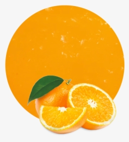 Orange, HD Png Download, Transparent PNG