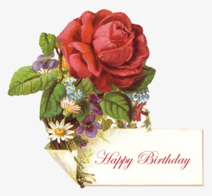 Rose Clipart Birthday - Vintage Birthday Messages, HD Png Download, Transparent PNG