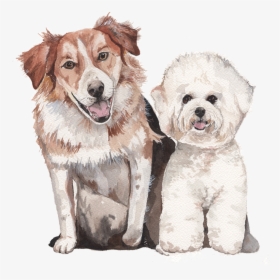 Custom Watercolor Pet Portrait   Class Lazyload Lazyload - Watercolour Dog Transparent, HD Png Download, Transparent PNG