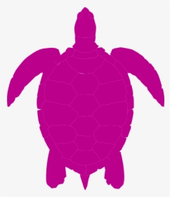 Sea Turtle Silhouette, HD Png Download, Transparent PNG