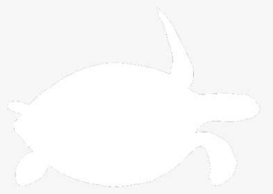 Kemp's Ridley Sea Turtle, HD Png Download, Transparent PNG