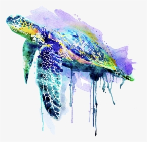 Watercolor Sea Turtle, HD Png Download, Transparent PNG