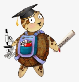 Animated Sea Turtle Graduation, HD Png Download, Transparent PNG