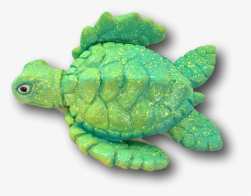 Olive Ridley Sea Turtle, HD Png Download, Transparent PNG