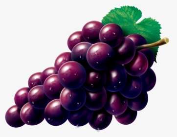 Grape Zante Currant Seedless Fruit - Grapes Fruit Png, Transparent Png, Transparent PNG
