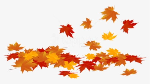 Download Fallen Leaves Clipart Transparent Background - Fall Leaves Clip Art, HD Png Download, Transparent PNG