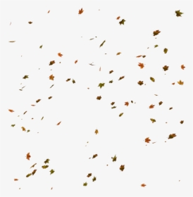 Transparent Fall Background Png - Fall Leaves Transparent Background, Png Download, Transparent PNG