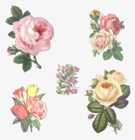 5 Vintage Flowers By Victorian-lady - Vintage Flowers Drawings Png, Transparent Png, Transparent PNG