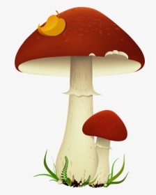 Mushroom Cloud Mario Mushroom Clipart No Background - Mushrooms Clipart Transparent, HD Png Download, Transparent PNG