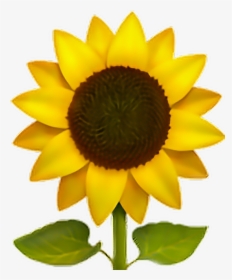 Sunflower Emoji Flower Sun Freeedit Iphone Cute - Emoji Sunflower, HD Png Download, Transparent PNG